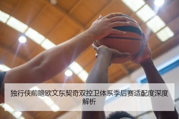 独行侠前瞻欧文东契奇双控卫体系季后赛适配度深度解析